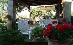 Solmar